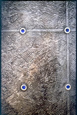butterfly-detail
